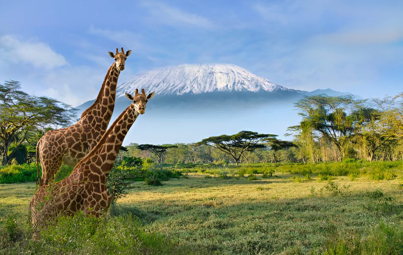 2 Day Private Amboseli Safari – From $314 USD Per Person