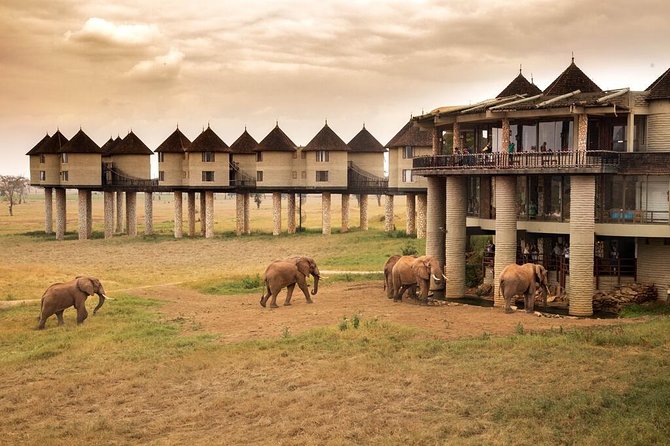 5-Day Tsavo, Amboseli & Salt Lick Wildlife Safari Adventure. From $1456