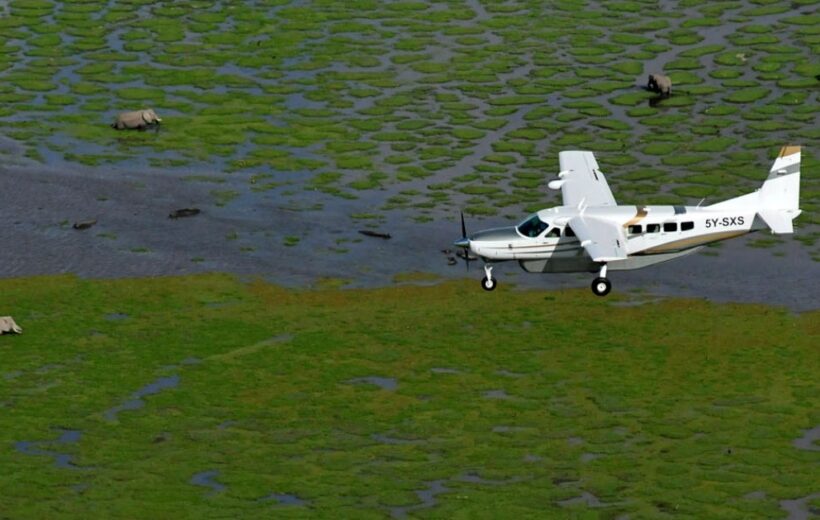 2-Day Masai Mara Premium Fly-In Safari