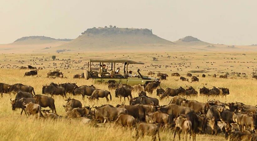 5 Day Serengeti Explorer Wildebeest Migration and Big Five Safari