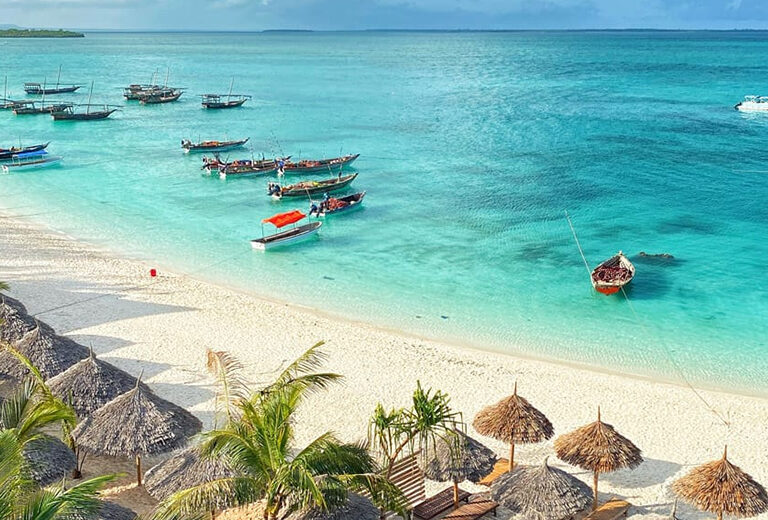 8 Day Luxury Tanzania Safari and Zanzibar Beach Escape